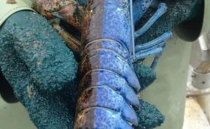 60 Times People Took A Pic Of Something Very Random They Found Out