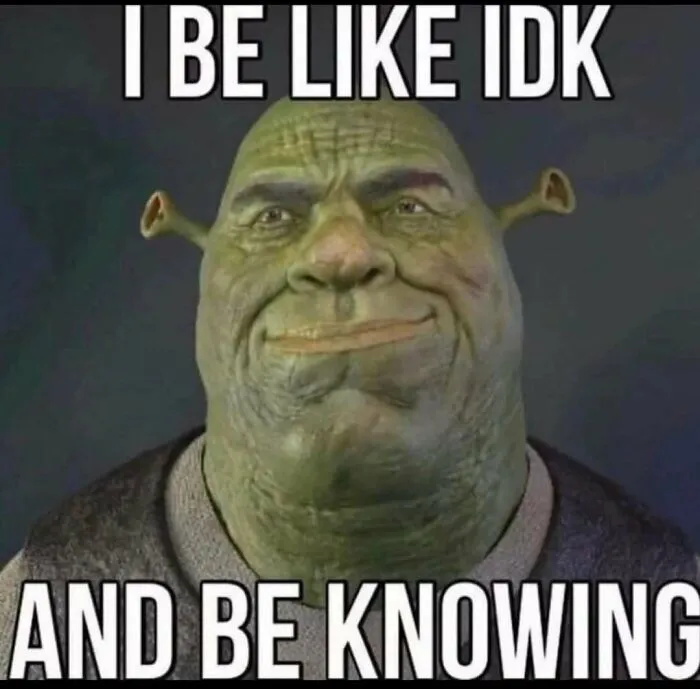 Shrek with a confused expression captioned with text about feeling uncertain, representing posts that hit different at 3AM.