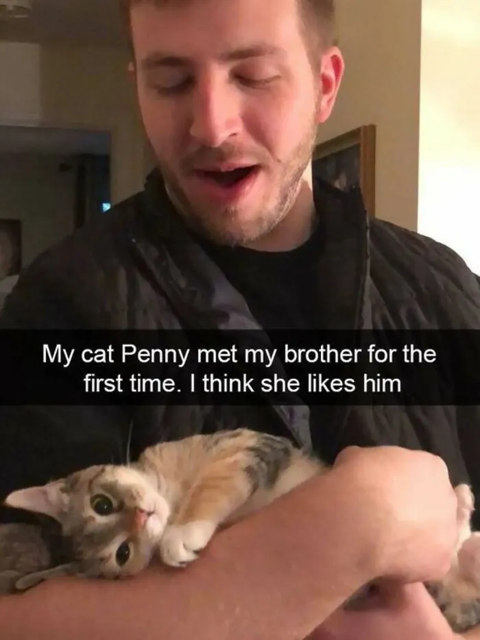 Cats Make The World A Better Place Just By Existing And These 50 Pics Prove It