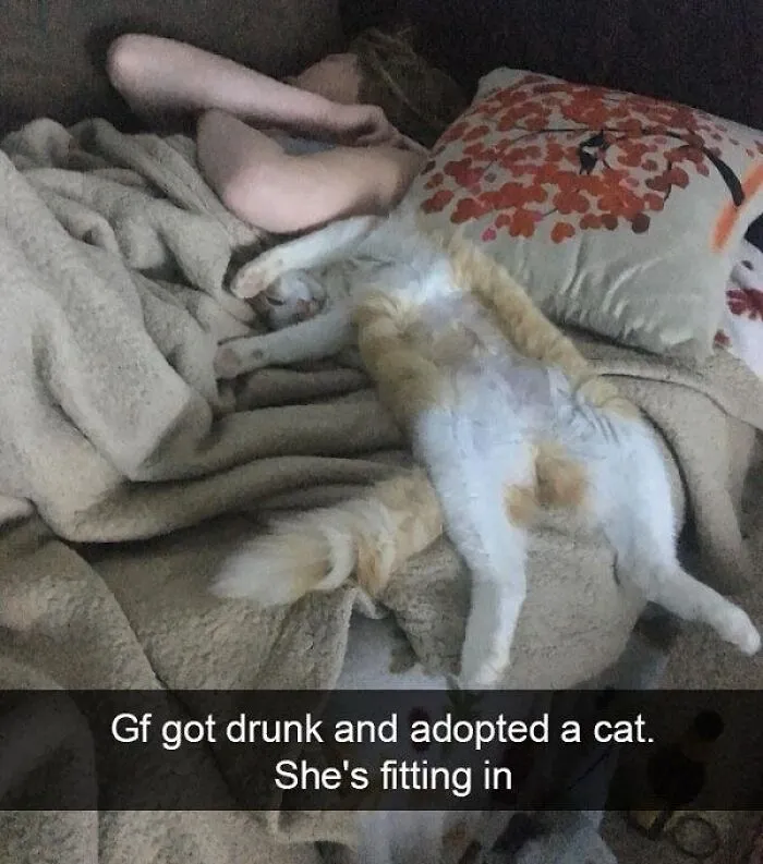 Cat lying sprawled on a bed next to a person, showing one of the goofy cats completely unaware of its silliness.