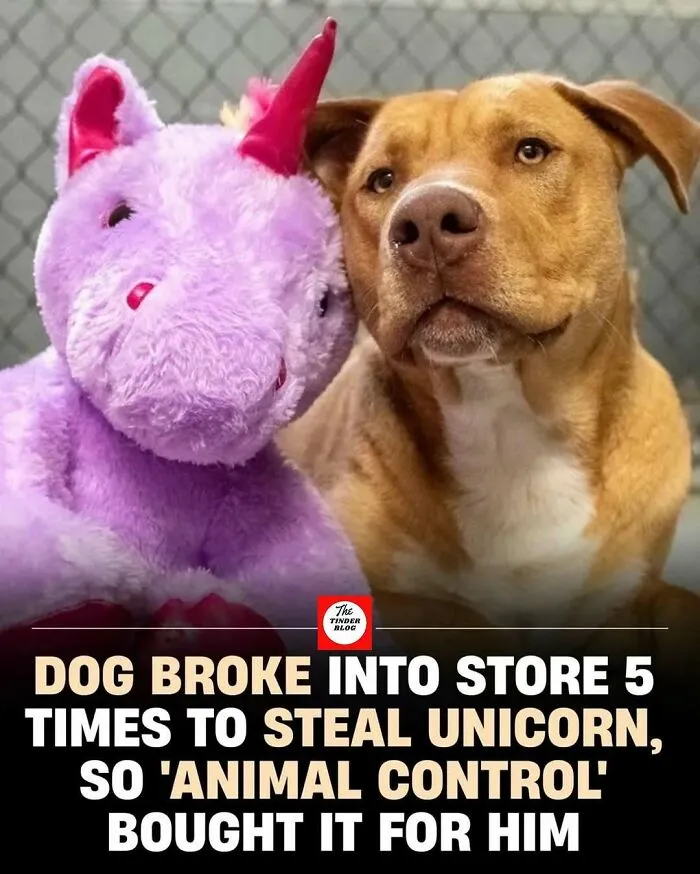 50 Adorable And Wholesome Posts To Brighten Your Feed, Courtesy Of This IG Page