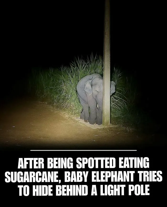50 Adorable And Wholesome Posts To Brighten Your Feed, Courtesy Of This IG Page