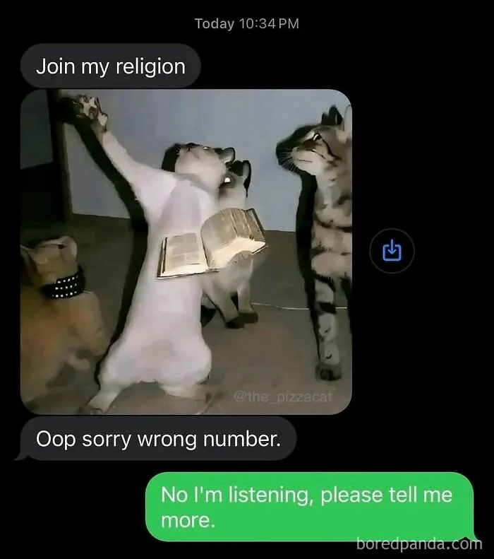 Cats Make The World A Better Place Just By Existing And These 50 Pics Prove It