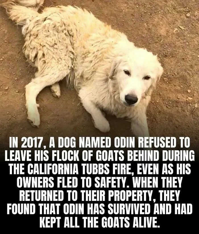 50 Adorable And Wholesome Posts To Brighten Your Feed, Courtesy Of This IG Page