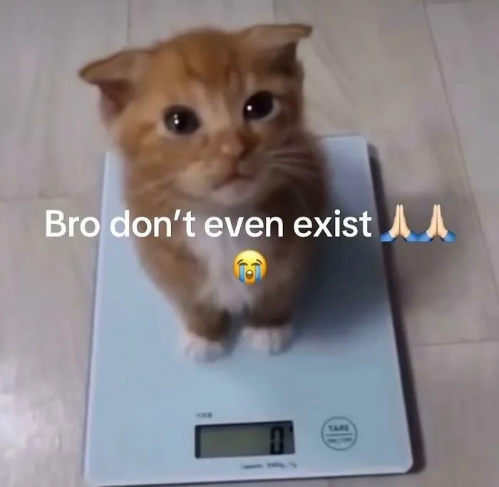 Orange kitten sitting on a digital scale showing zero, a goofy cat unaware of its weight and cuteness.