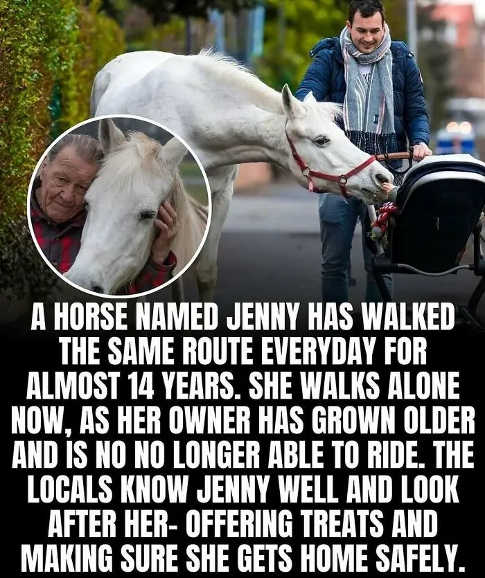 50 Adorable And Wholesome Posts To Brighten Your Feed, Courtesy Of This IG Page
