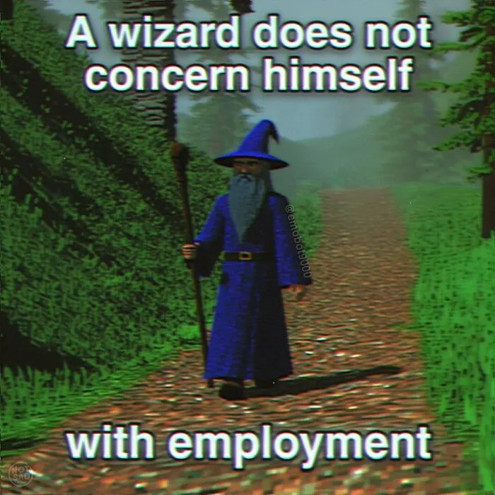 A low-resolution meme of a wizard on a forest path with the caption about not concerning himself with employment.