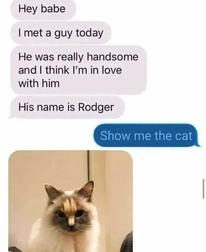 Text message exchange about meeting a handsome cat named Rodger, followed by a photo of a fluffy, goofy cat.