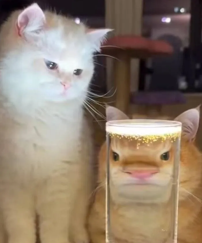 Cats Make The World A Better Place Just By Existing And These 50 Pics Prove It