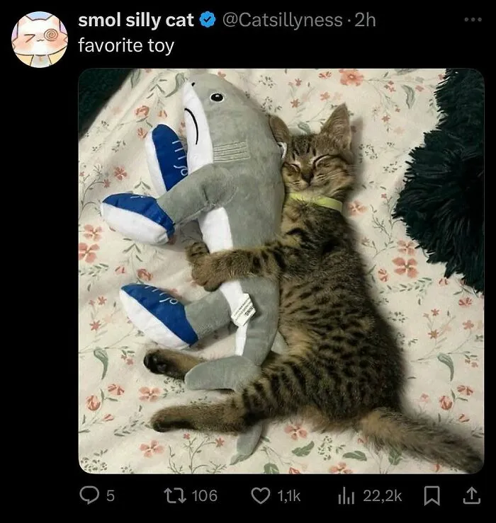 Cats Make The World A Better Place Just By Existing And These 50 Pics Prove It