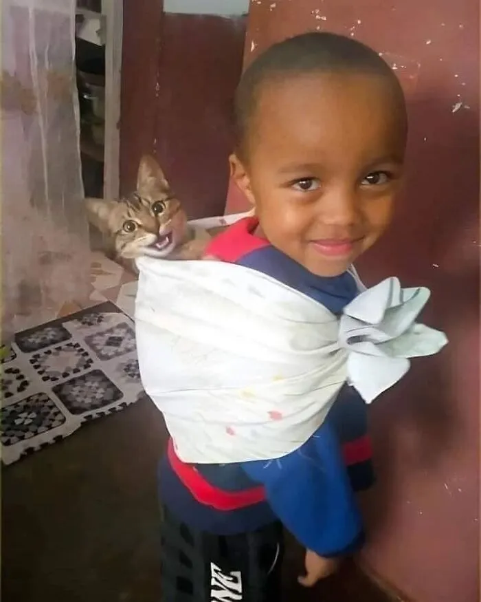 Cats Make The World A Better Place Just By Existing And These 50 Pics Prove It