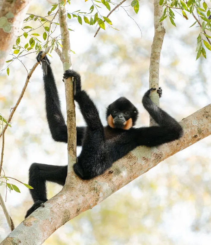 Diana Rebman, "Relaxing In The Trees!"