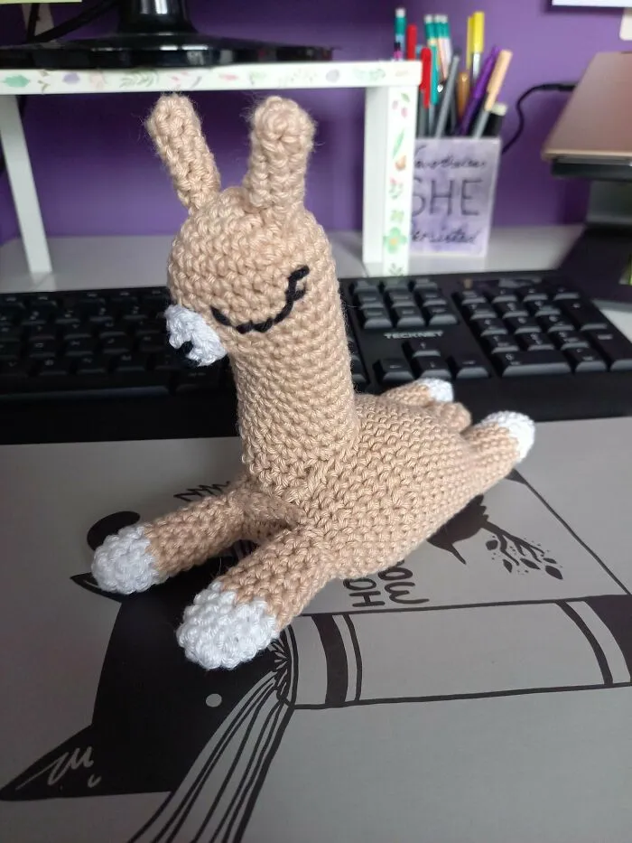 Sleepy Llama