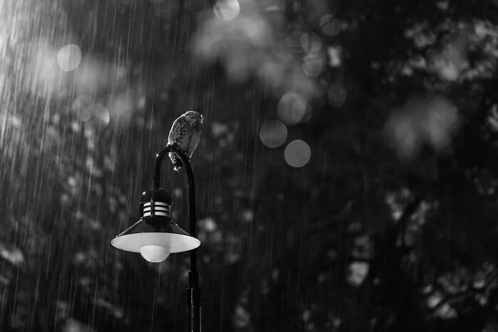 Black And White, Bronze Award: On My Own By Jim Lee, Singapore