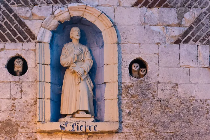 Urban Boreds, Bronze Award: Sainte Trinité By Benoit Henrion, France