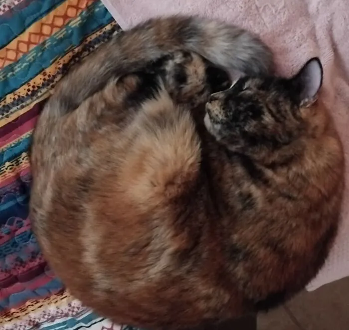 Gem Creating A Spiral