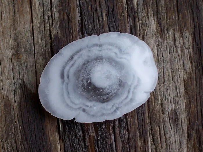 The Heaviest Hailstone Was More Than 2 Pounds