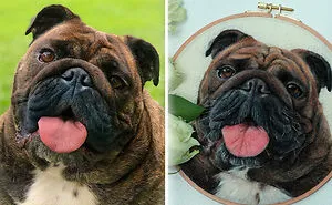 40 Handmade Pet Portraits That Capture Every Fluff And Whisker
