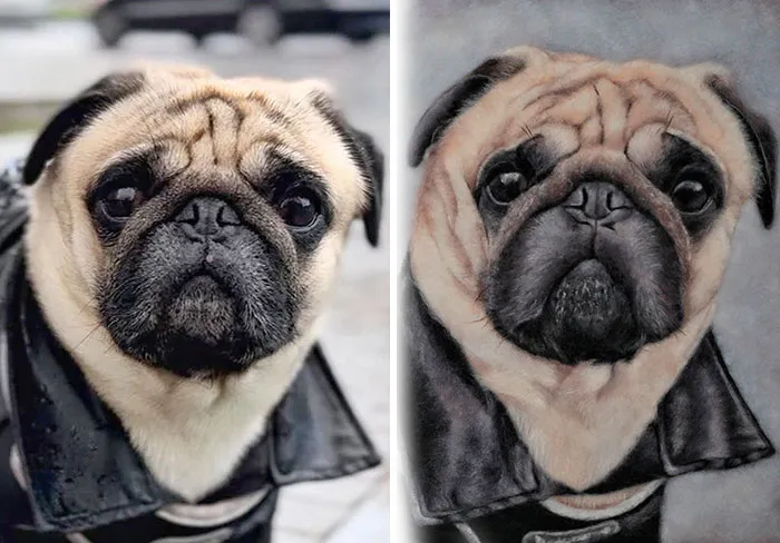 40 Handmade Pet Portraits That Capture Every Fluff And Whisker