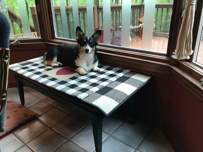 This Is Gabby!