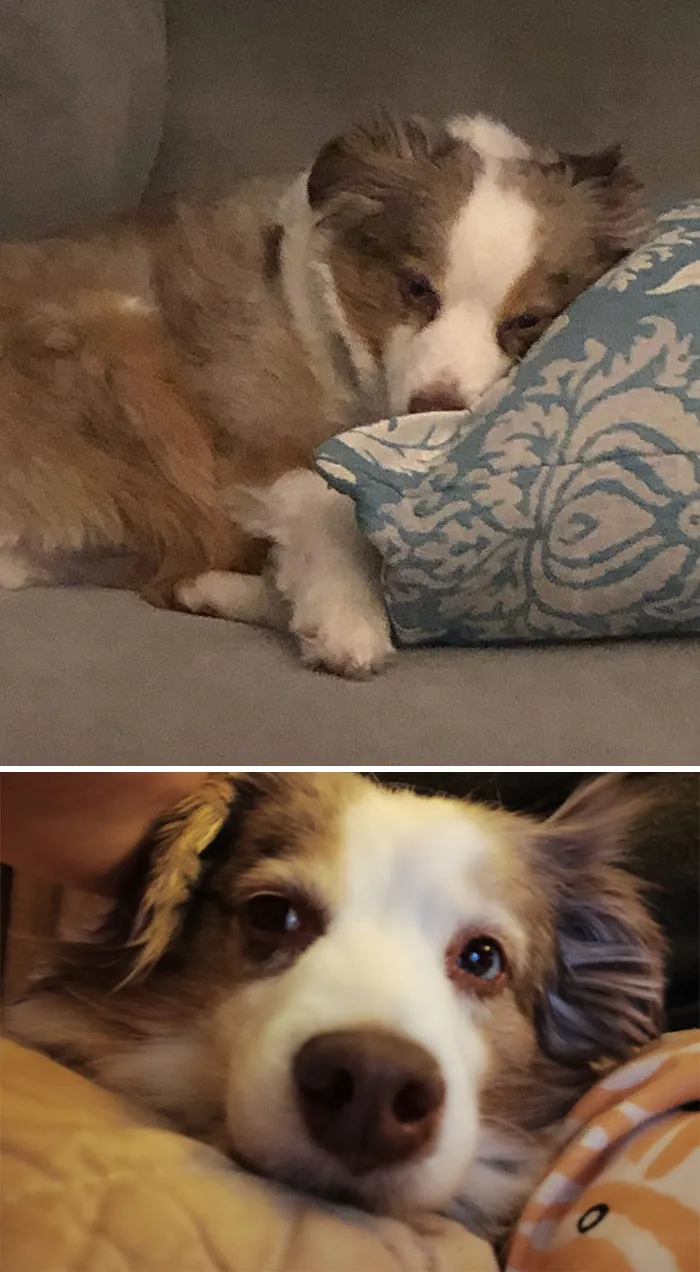 Melvin 01/09/2017-10/06/2025