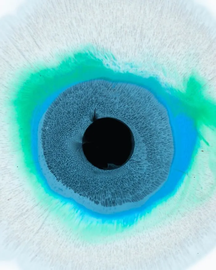 This Photographer Transforms Ink And Water Into Hypnotic Human-Iris Wonders (17 Pics)