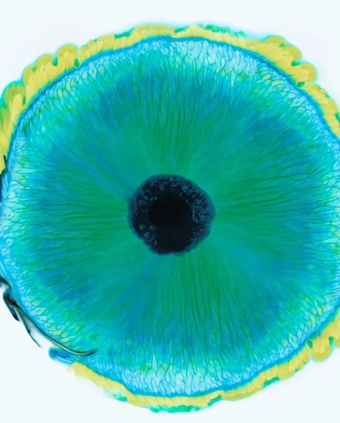This Photographer Transforms Ink And Water Into Hypnotic Human-Iris Wonders (17 Pics)