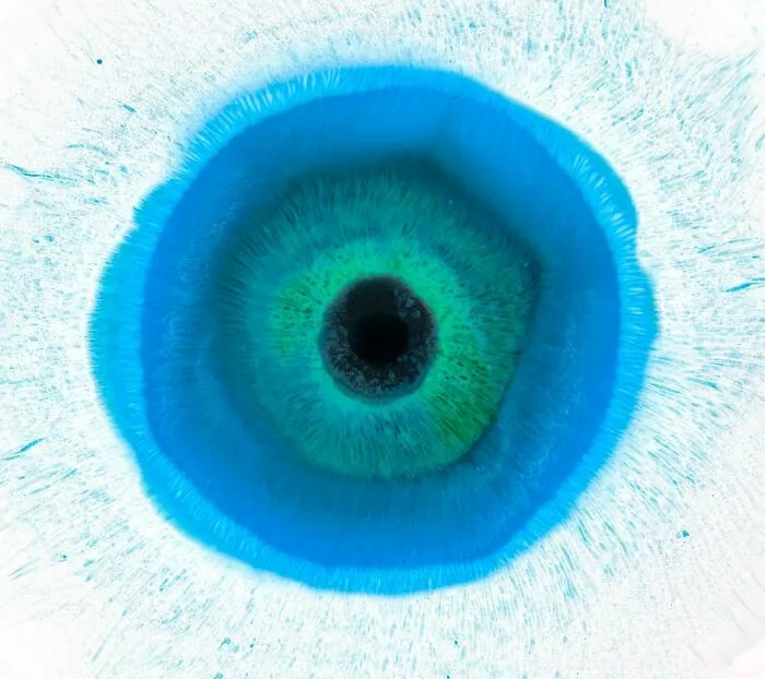 This Photographer Transforms Ink And Water Into Hypnotic Human-Iris Wonders (17 Pics)