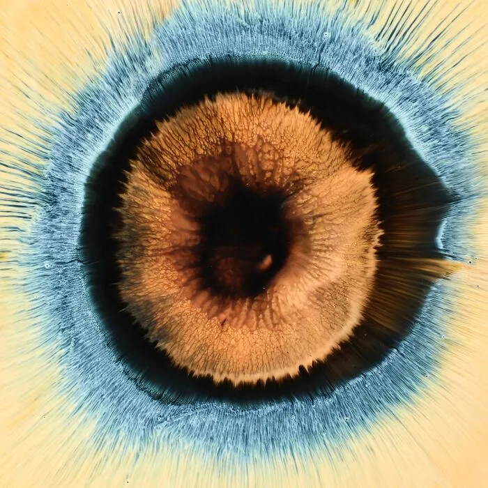 This Photographer Transforms Ink And Water Into Hypnotic Human-Iris Wonders (17 Pics)