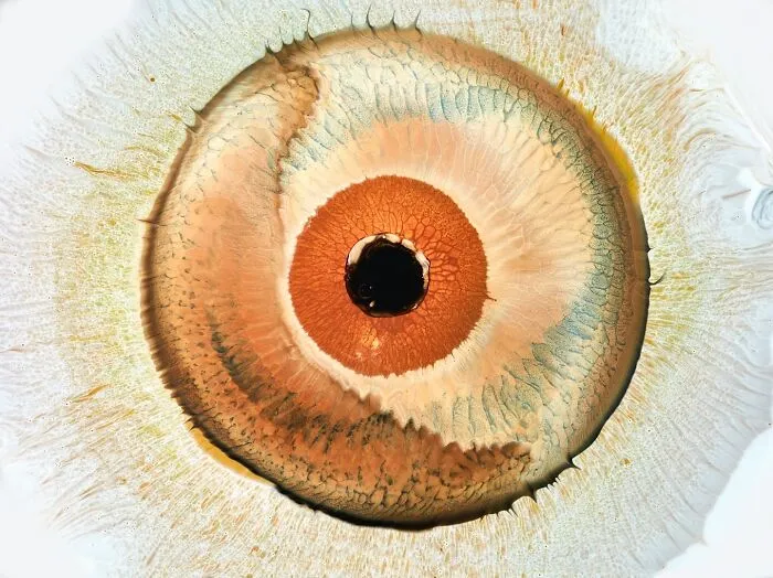 This Photographer Transforms Ink And Water Into Hypnotic Human-Iris Wonders (17 Pics)