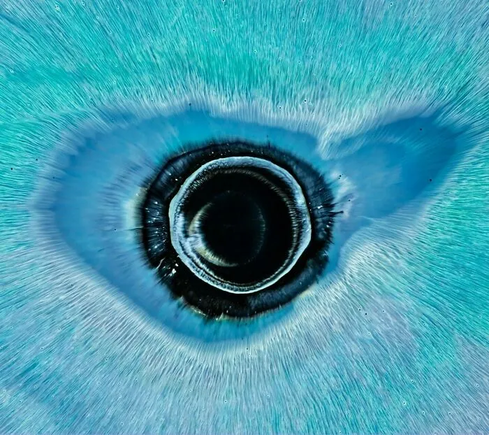 This Photographer Transforms Ink And Water Into Hypnotic Human-Iris Wonders (17 Pics)