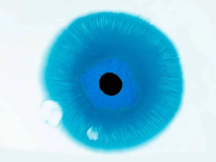 This Photographer Transforms Ink And Water Into Hypnotic Human-Iris Wonders (17 Pics)