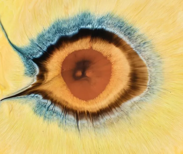 This Photographer Transforms Ink And Water Into Hypnotic Human-Iris Wonders (17 Pics)