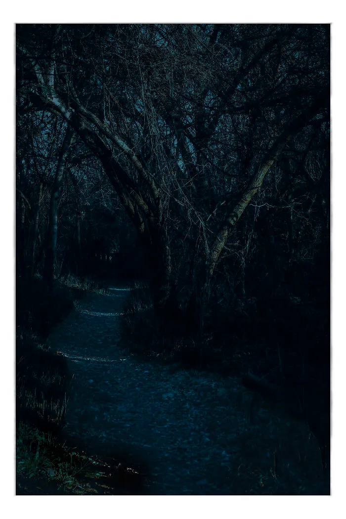 Cloak Of Darkness By Benita Mayo