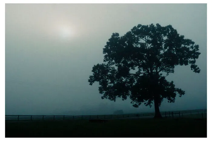 Sunrise Behind The Clouds By Benita Mayo