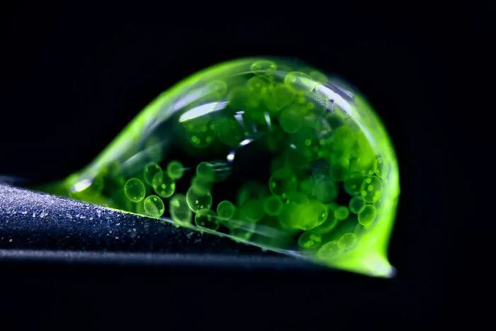 2nd Place: Dr. Jan Rosenboom, Rostock, Mecklenburg Vorpommern, Germany
