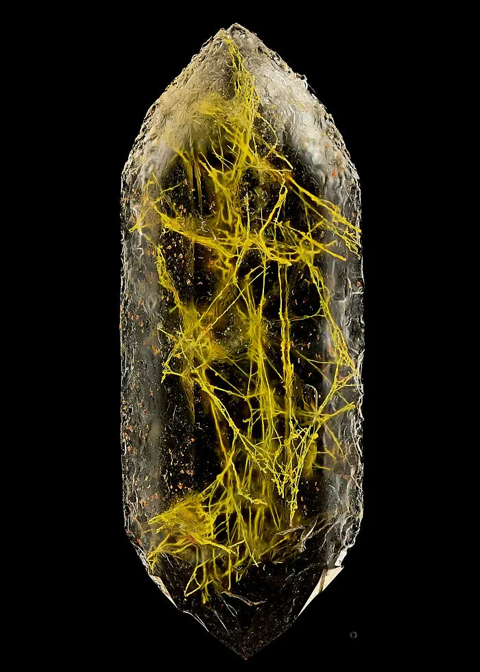 14th Place: Manfred Heising, Lwl Museum Of Natural History Münster, Münster, Northrhine-Westphalia, Germany
