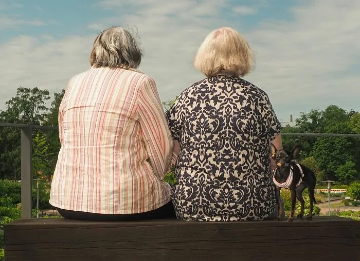 Finalist "Friends" By Irina Ebralidze, Finland 