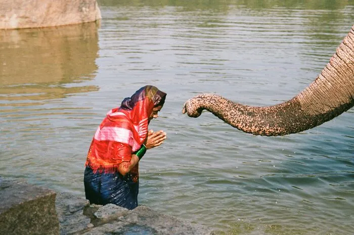 Finalist "Lakshmi’s Touch" By Gaby Conn, Portugal 