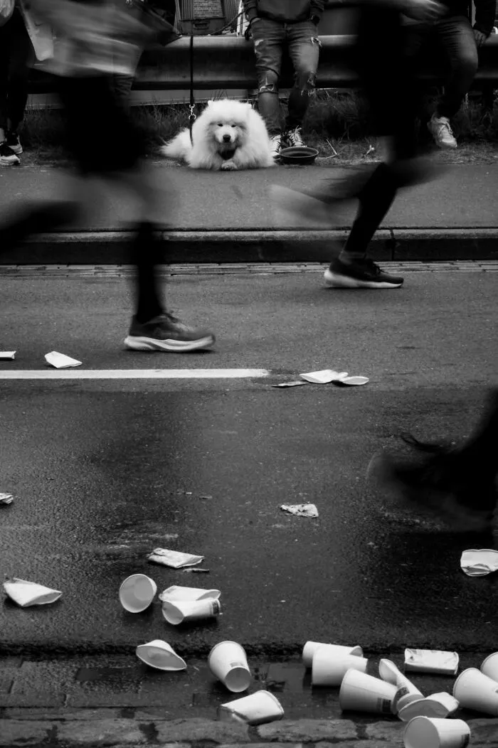 Finalist "Eyes Beyond The Race" By Holger Kunze, Belgium 