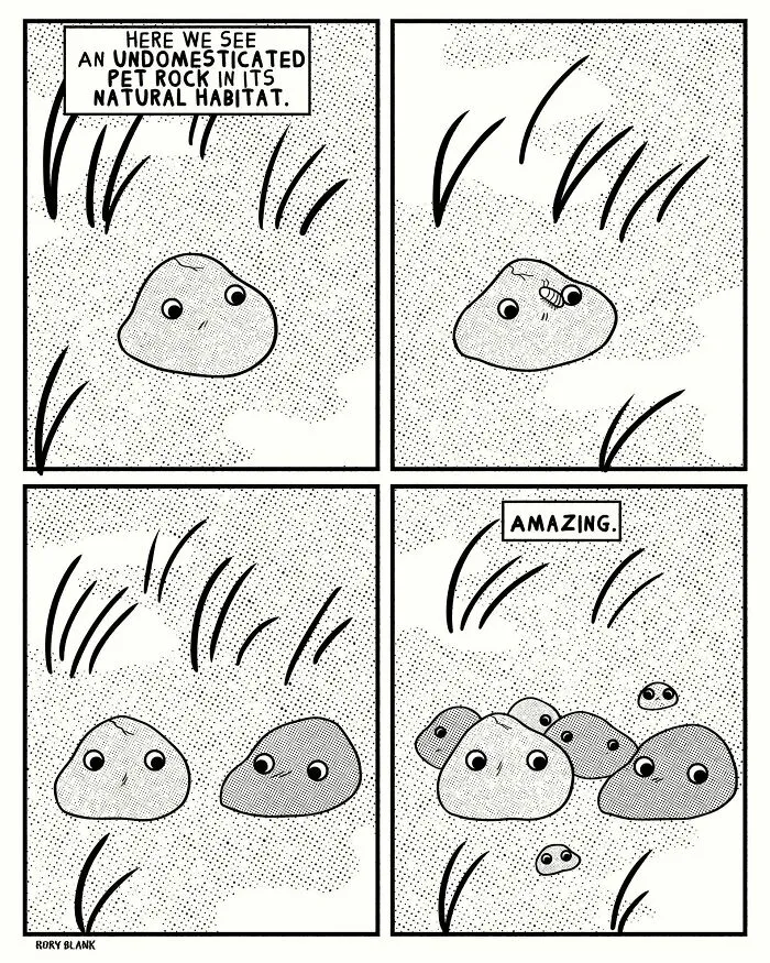 40 Absurdly Funny Comics About Life’s Weirdest Moments