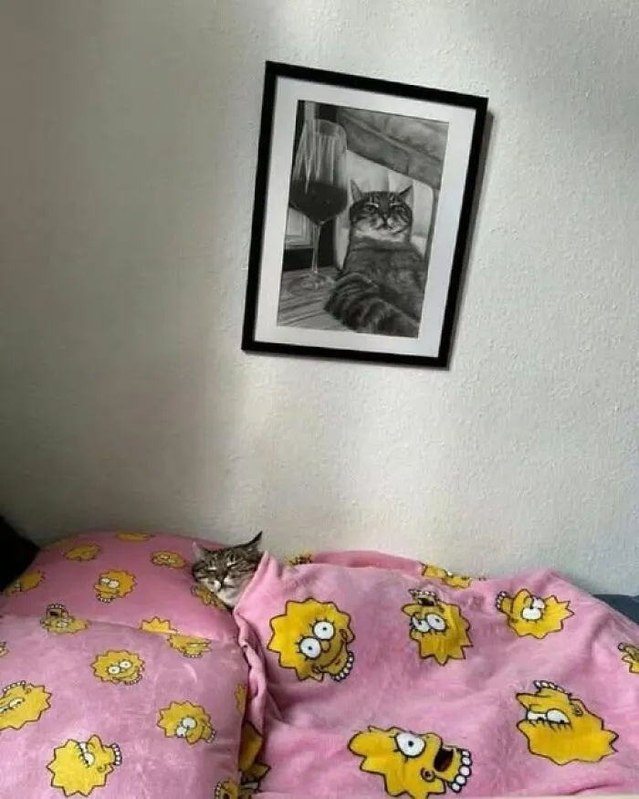 50 Of The Most Hilarious And Cute Cat-Themed ‘Important Animal Images’ To Brighten Your Day