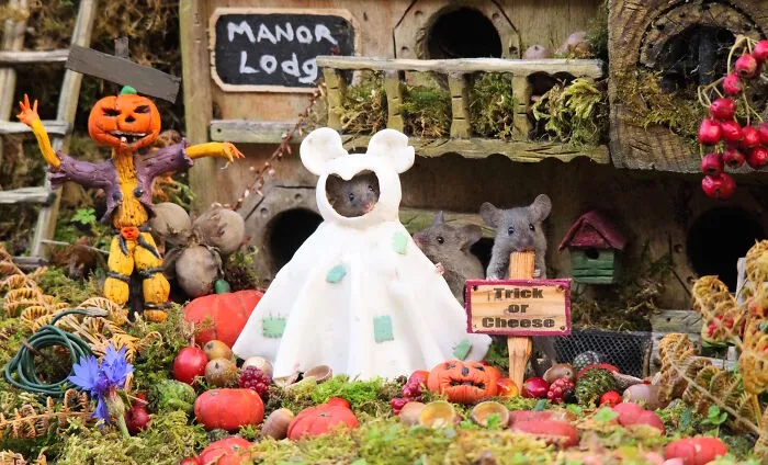 A Couple Of The Baby Mice Are Trick-Or-Treating With Their Ghost Costume