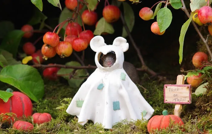 Wild mouse dressed as ghost in a Halloween village setup with pumpkins and a trick-or-treat sign in a garden scene.