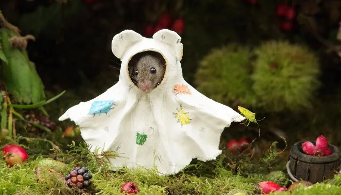Ghost Mouse, So Very Spooky