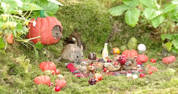 The Mice Are Having A Family Halloween Picnic