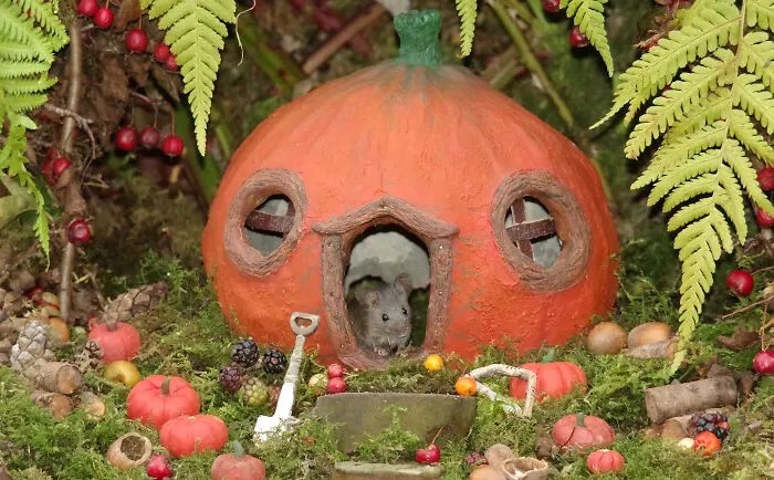 A wild mouse peeks out of a pumpkin house in a Halloween village garden decorated with moss, berries, and miniature pumpkins.