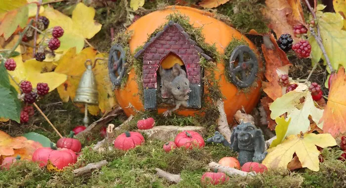 Pumpkin  Cottage  And A Little Baby Mouse At The Door