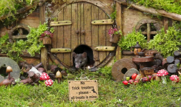A Grumpy Little Hobbit Mouse - "No Trick-Or-Treaters Please, All Treats Are Mine"