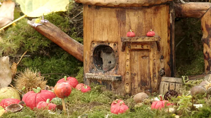 I Built A Tiny Halloween Village For Wild Mice In My Garden (29 Pics)